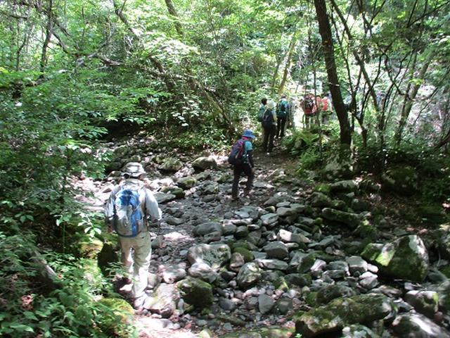 画像3: 【山旅会】天女山から美し森 添乗報告