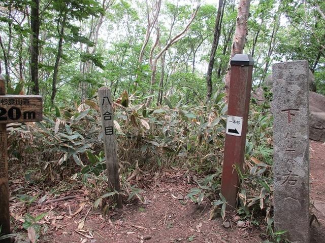 画像5: 【山旅会】姫神山へ下見に行ってきました!