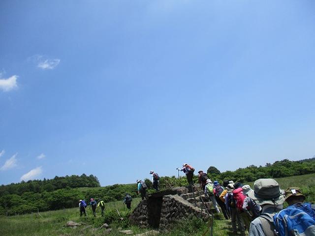 画像4: 【山旅会】天女山から美し森 添乗報告