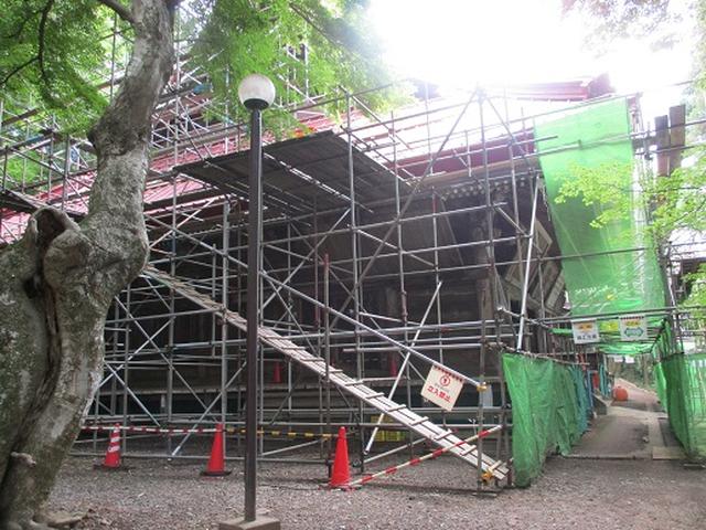 画像6: 【山旅会】関八州見晴台へ下見に行ってきました!
