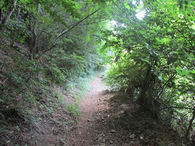画像8: 【山旅会】関八州見晴台へ下見に行ってきました!