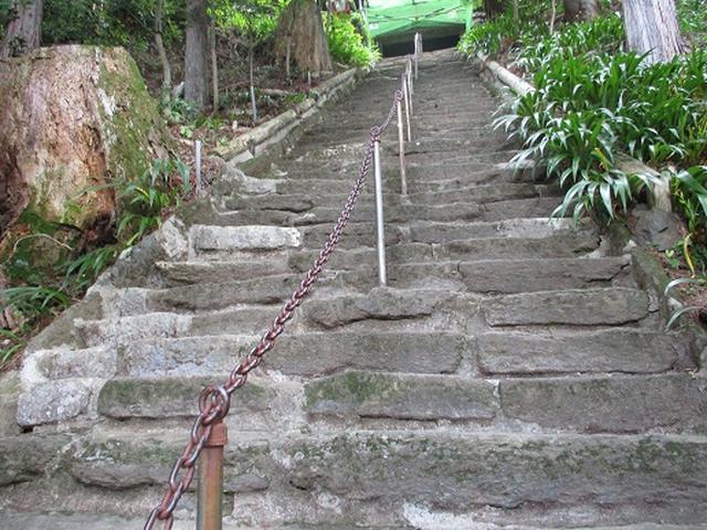 画像5: 【山旅会】関八州見晴台へ下見に行ってきました!