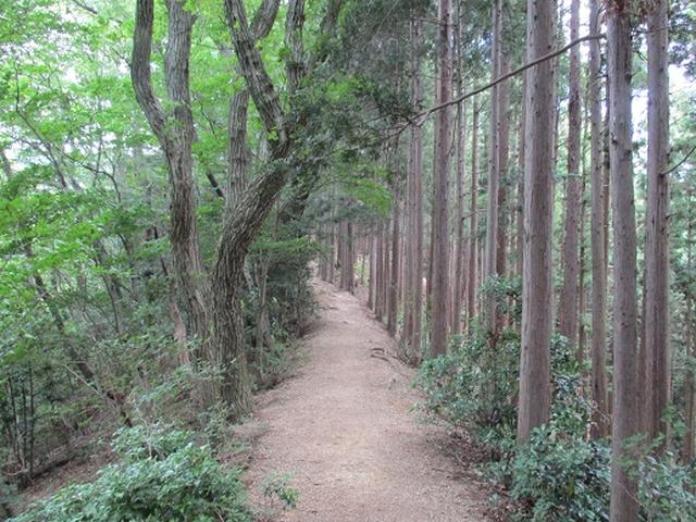 画像3: 【山旅会】関八州見晴台へ下見に行ってきました!