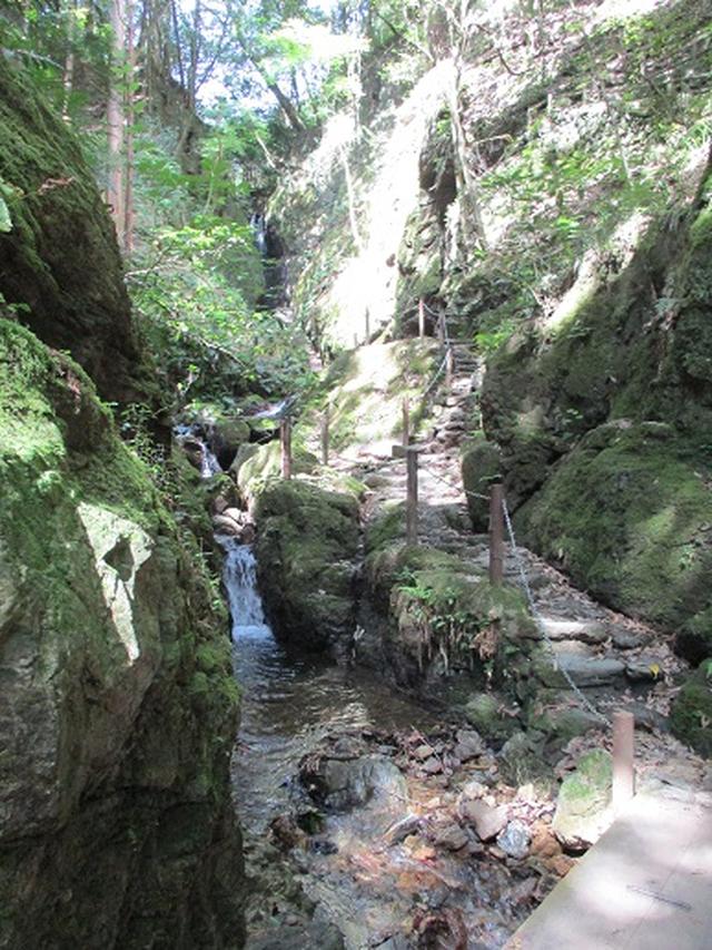画像10: 【山旅会】関八州見晴台へ下見に行ってきました!