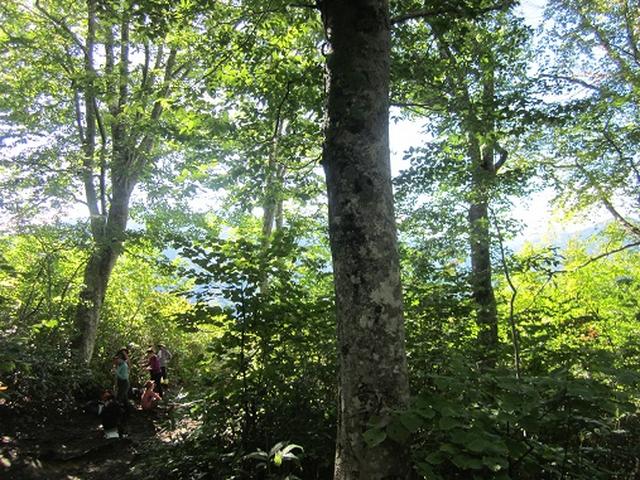 画像4: 【山旅会】9月の山旅会「会津駒ヶ岳」のご案内