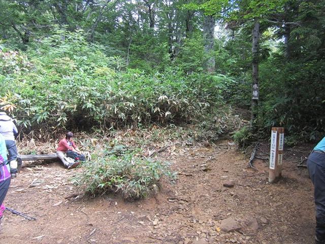 画像3: 【山旅会】9月の山旅会「会津駒ヶ岳」のご案内
