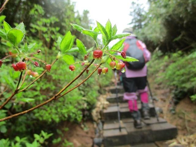 画像6: 【山旅会】八幡平ツアーにいってまいりました!(その1)