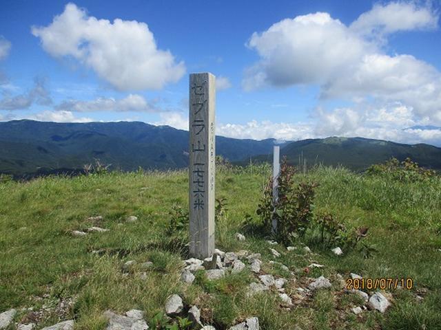 画像11: 【山旅会】霧ヶ峰・男女倉山の下見にいってまいりました!
