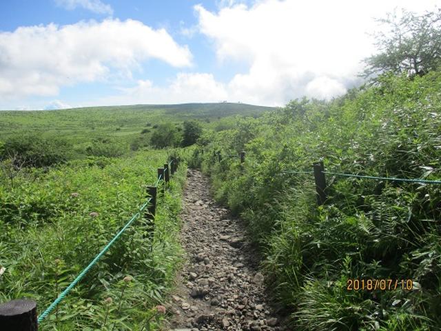 画像2: 【山旅会】霧ヶ峰・男女倉山の下見にいってまいりました!