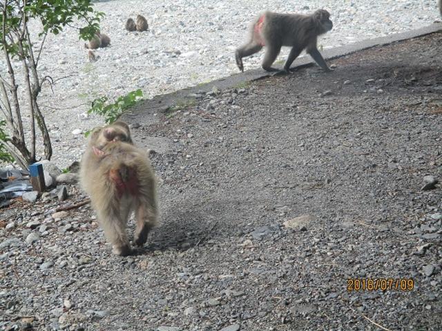 画像16: 【山旅会】蝶ヶ岳ツアーの下見にいってまいりました!