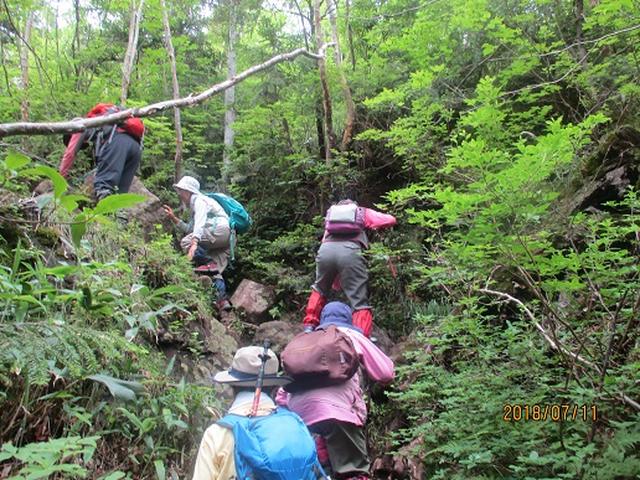 画像6: 【山旅会】志賀山と裏志賀山にいってまいりました!