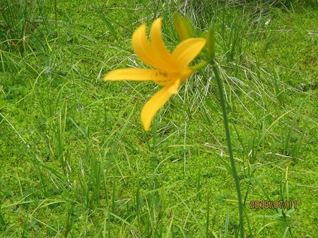 画像3: 【山旅会】志賀山と裏志賀山にいってまいりました!