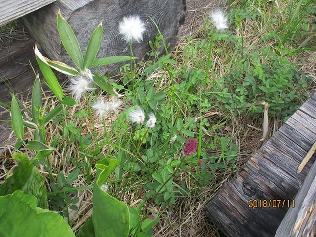 画像13: 【山旅会】志賀山と裏志賀山にいってまいりました!