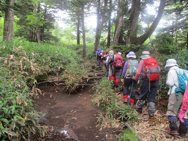 画像5: 【山旅会】志賀山と裏志賀山にいってまいりました!