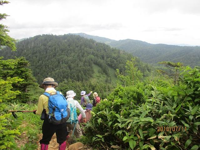 画像9: 【山旅会】志賀山と裏志賀山にいってまいりました!