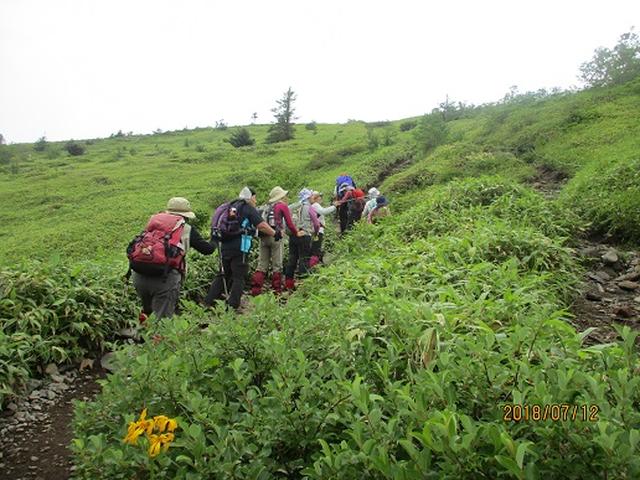 画像6: 【山旅会】根子岳にいってまいりました!(その1)