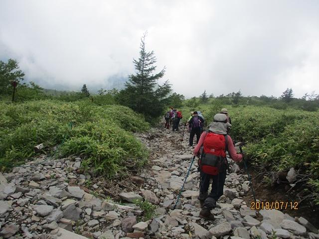 画像3: 【山旅会】根子岳にいってまいりました!(その2)