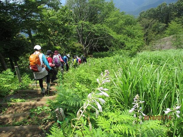 画像9: 【山旅会】陣馬山ツアーにいってまいりました!
