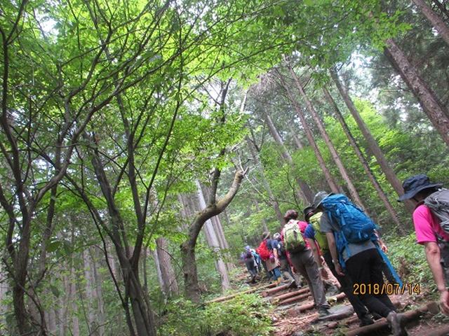 画像5: 【山旅会】陣馬山ツアーにいってまいりました!