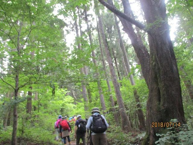 画像2: 【山旅会】陣馬山ツアーにいってまいりました!