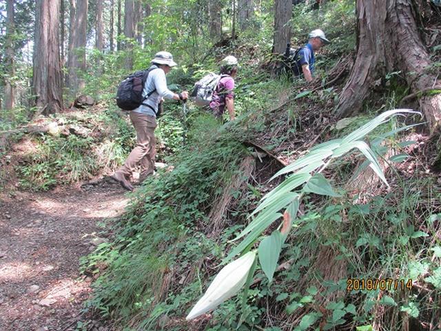 画像3: 【山旅会】陣馬山ツアーにいってまいりました!