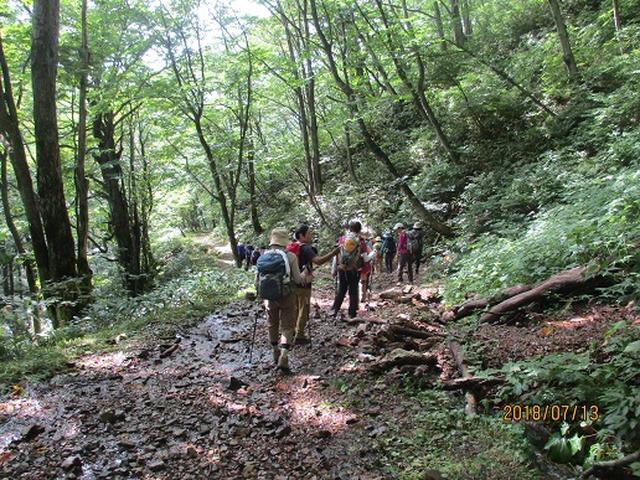 画像17: 【山旅会】三国山ツアーにいってまいりました!