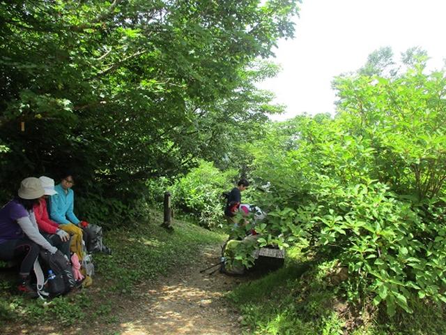 画像5: 【山旅会】三国山ツアーにいってまいりました!