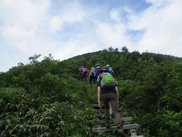 画像6: 【山旅会】三国山ツアーにいってまいりました!