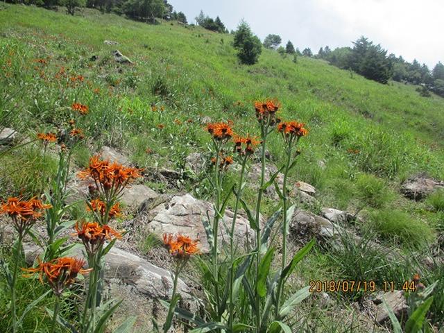 画像4: 【山旅会】大菩薩嶺ツアーにいってまいりました!
