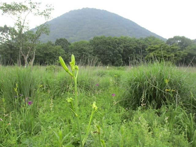 画像11: 【山旅会】榛名山の下見にいってまいりました!