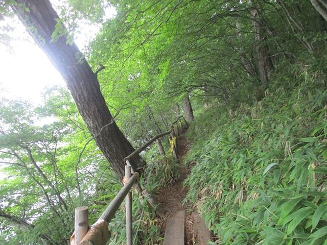 画像17: 【山旅会】榛名山の下見にいってまいりました!