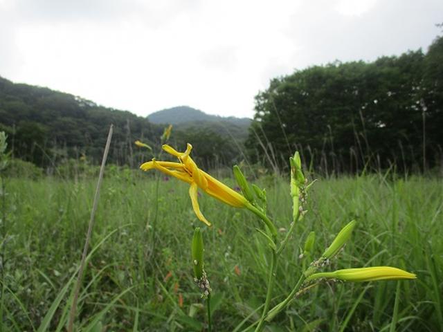 画像12: 【山旅会】榛名山の下見にいってまいりました!