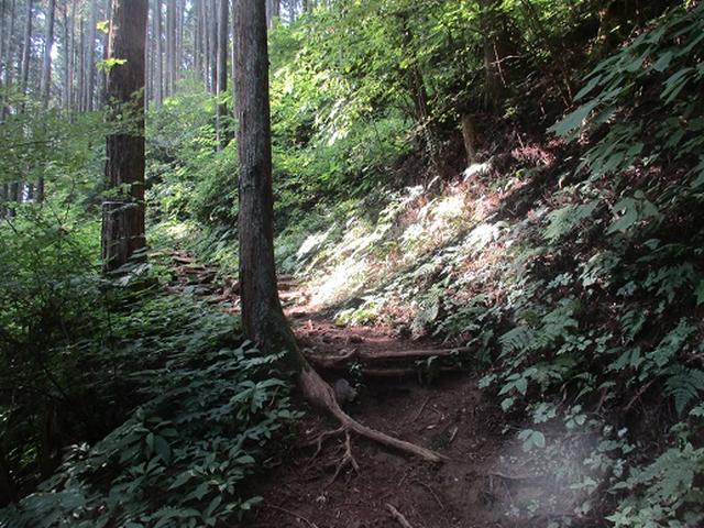 画像3: 【山旅会】大塚山の下見にいってまいりました!