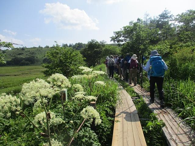画像14: 【山旅会】霧ヶ峰・男女倉山ツアーにいってまいりました!