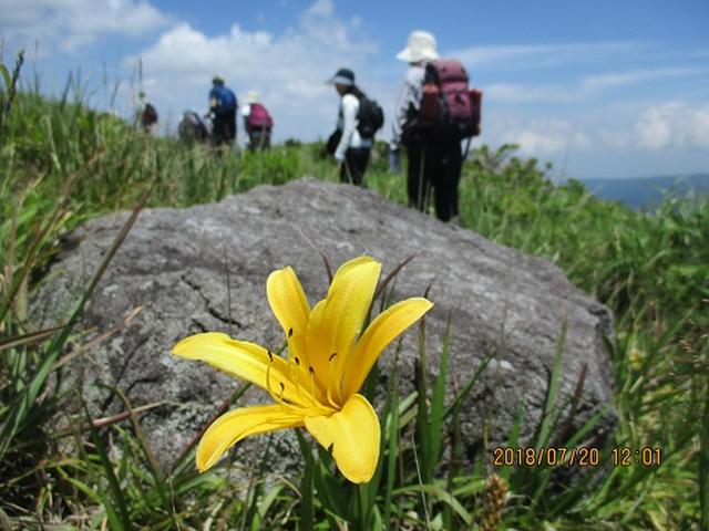 画像4: 【山旅会】霧ヶ峰・男女倉山ツアーにいってまいりました!