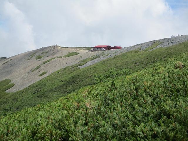 画像2: 【山旅会】蝶ヶ岳ツアーにいってまいりました!(その3)