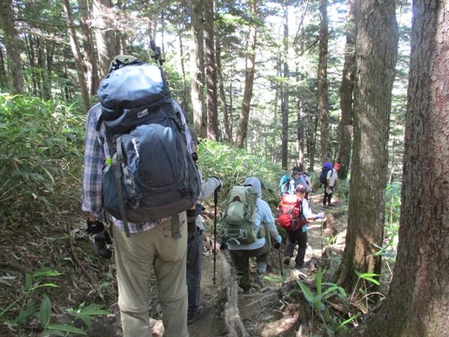 画像10: 【山旅会】蝶ヶ岳ツアーにいってまいりました!(その3)