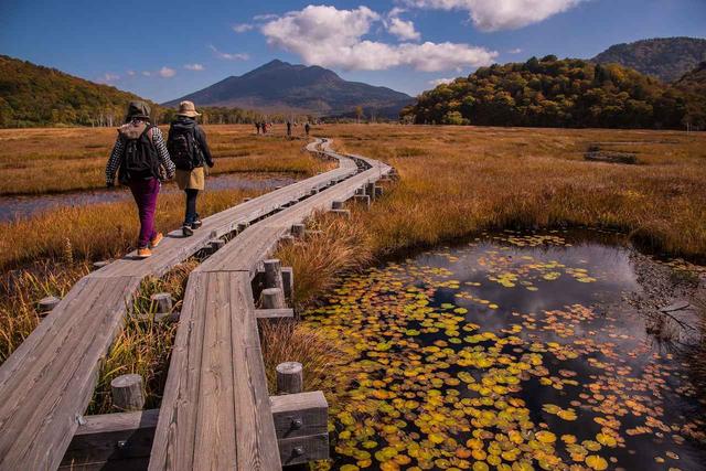 画像2: この秋スタート!ウォーキング・登山シリーズ・ハイキング説明会