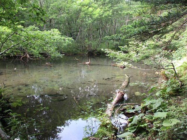 画像6: 【山旅会】蝶ヶ岳ツアーにいってまいりました!(その1)