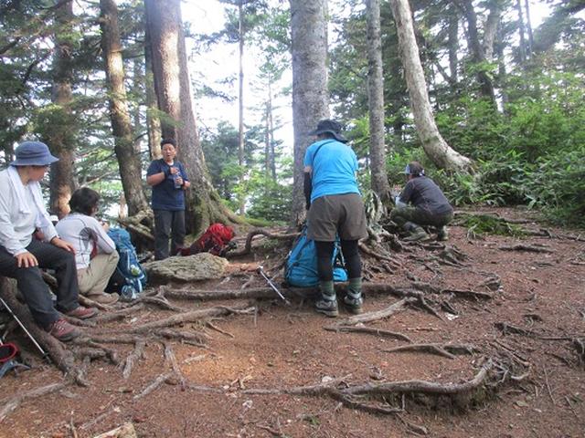 画像3: 【山旅会】蝶ヶ岳ツアーにいってまいりました!(その2)