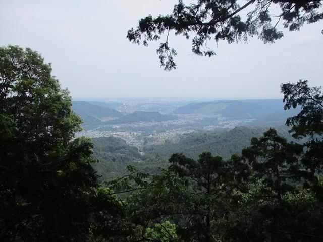 画像10: 【山旅会】日の出山から吉野梅郷