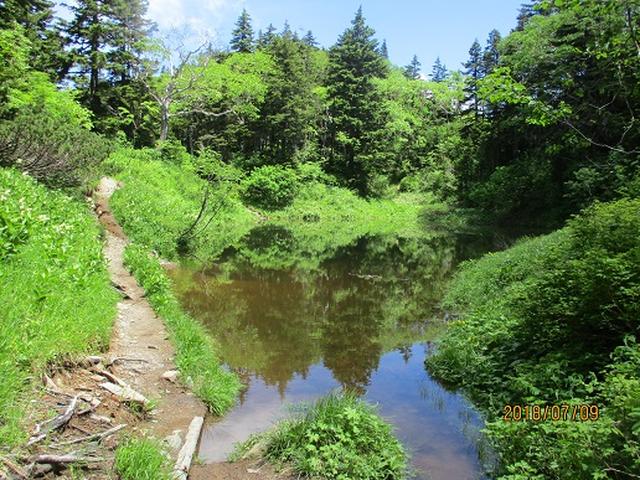画像12: 【山旅会】蝶ヶ岳ツアーにいってまいりました!(その2)