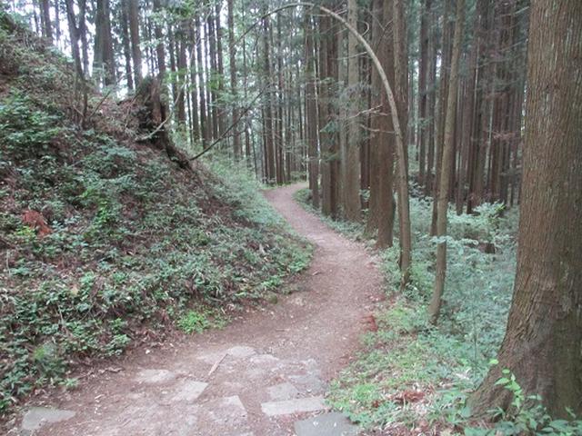 画像4: 【山旅会】日の出山から吉野梅郷