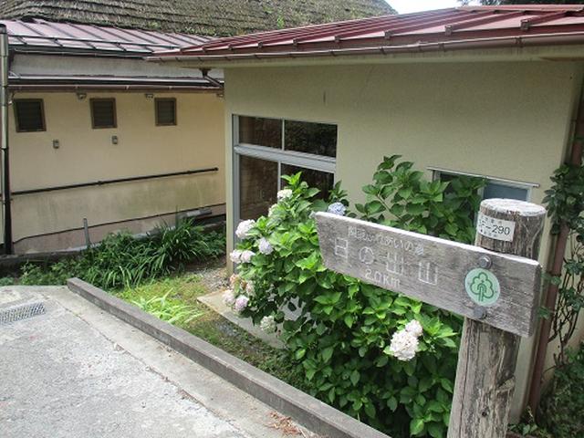 画像2: 【山旅会】日の出山から吉野梅郷