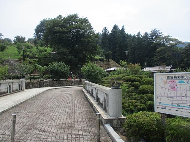 画像12: 【山旅会】日の出山から吉野梅郷