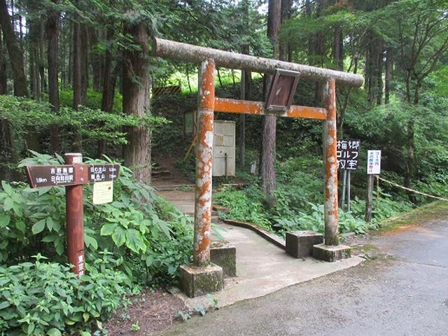 画像11: 【山旅会】日の出山から吉野梅郷