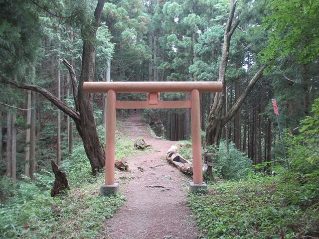 画像5: 【山旅会】日の出山から吉野梅郷