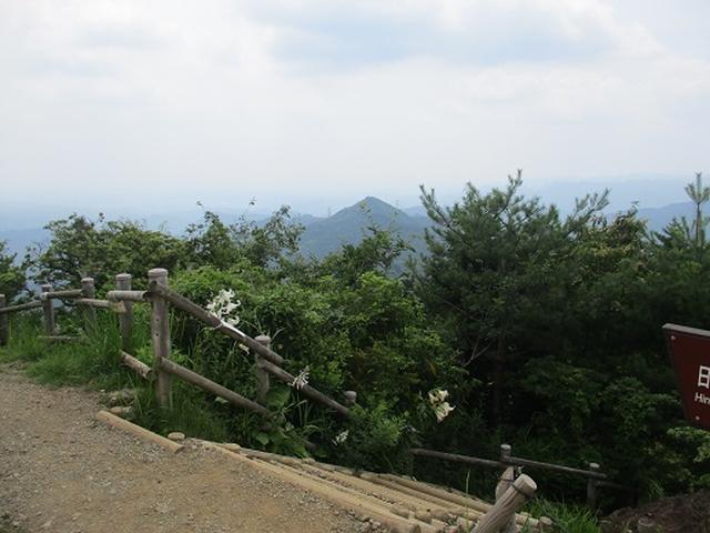 画像8: 【山旅会】日の出山から吉野梅郷