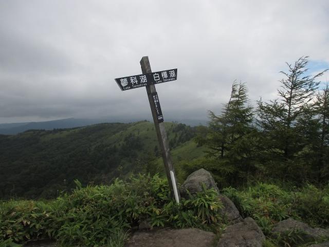 画像10: 【山旅会・登山ガイドこだわりツアー】初秋の花咲く八子ヶ峰ツアーのご案内