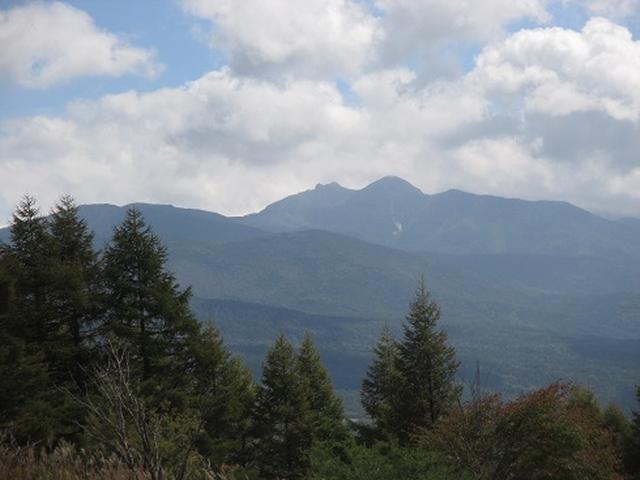 画像4: 【山旅会・登山ガイドこだわりツアー】初秋の花咲く八子ヶ峰ツアーのご案内